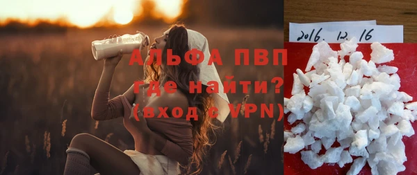 дживик Майский