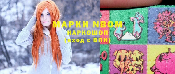 дживик Майский